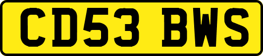 CD53BWS