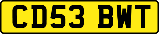 CD53BWT