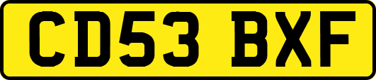 CD53BXF