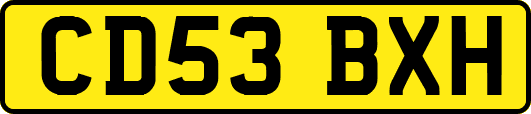 CD53BXH