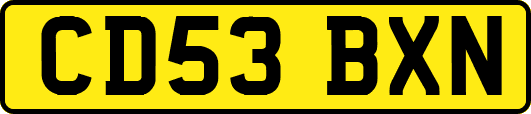 CD53BXN