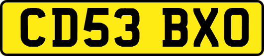 CD53BXO