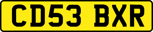 CD53BXR