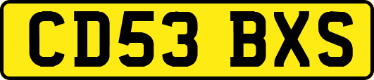 CD53BXS