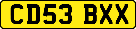 CD53BXX