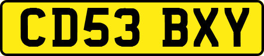 CD53BXY