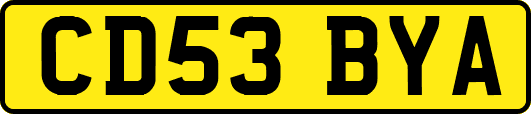 CD53BYA
