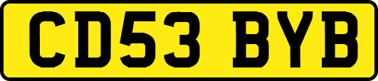 CD53BYB