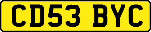 CD53BYC