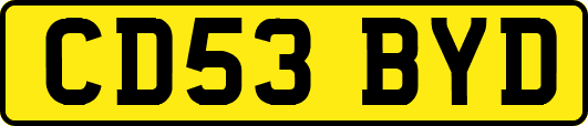 CD53BYD