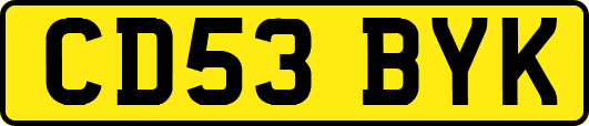 CD53BYK