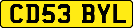 CD53BYL