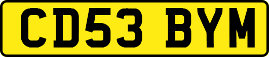 CD53BYM