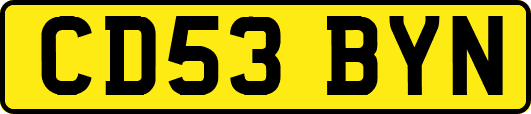 CD53BYN