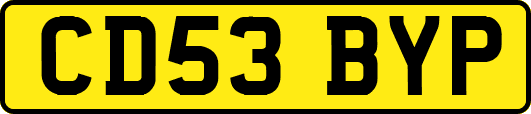 CD53BYP