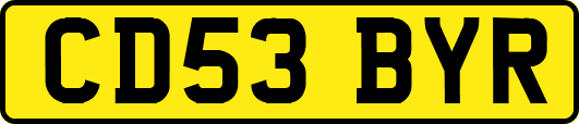 CD53BYR