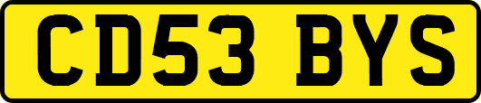 CD53BYS