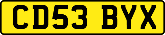 CD53BYX