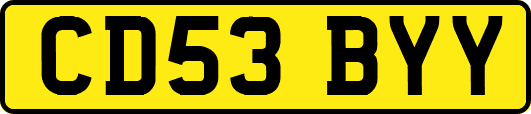 CD53BYY