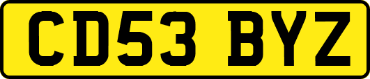 CD53BYZ