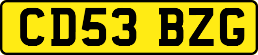 CD53BZG