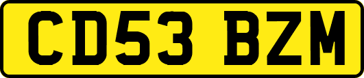 CD53BZM