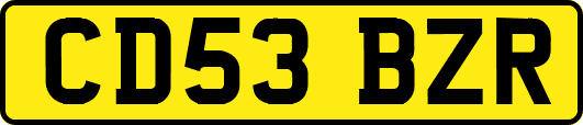 CD53BZR