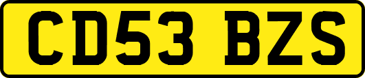 CD53BZS