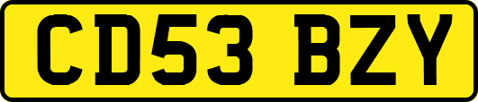 CD53BZY
