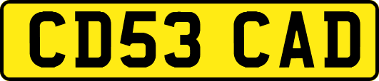 CD53CAD