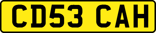 CD53CAH