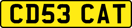CD53CAT