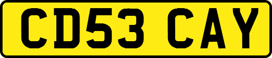 CD53CAY