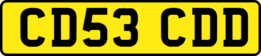 CD53CDD