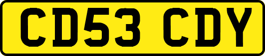 CD53CDY
