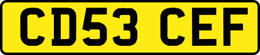 CD53CEF