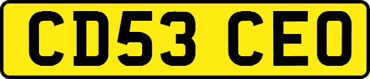 CD53CEO