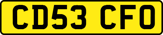 CD53CFO