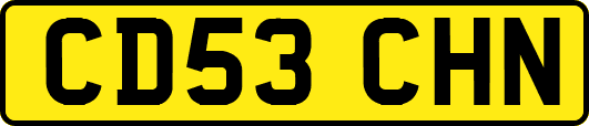 CD53CHN