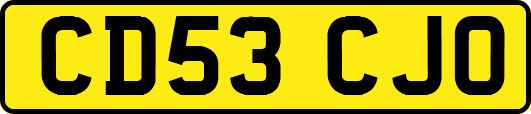 CD53CJO