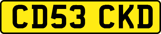 CD53CKD