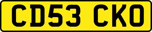 CD53CKO