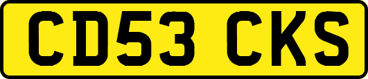 CD53CKS