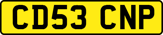 CD53CNP