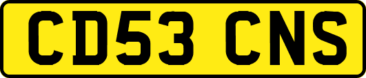 CD53CNS