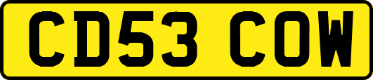 CD53COW