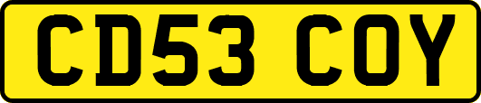 CD53COY