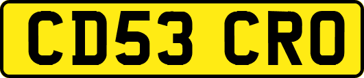 CD53CRO