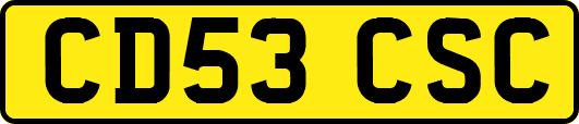 CD53CSC