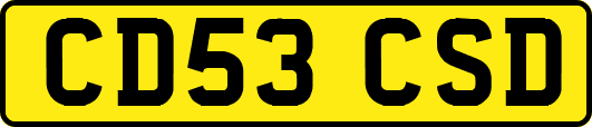 CD53CSD